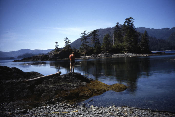 Queen Charlotte Islands, Northern Pacific (D. Wilson)