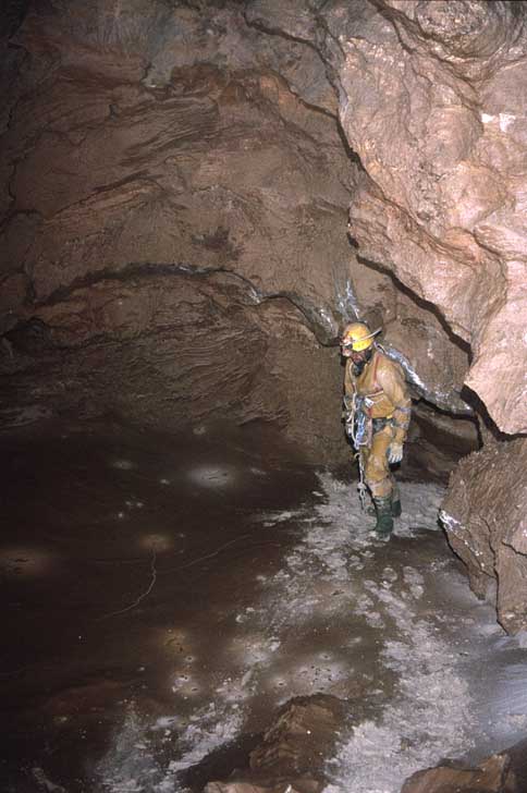 End of Gold survey, Gardener's World, Migovec Plateau (D Wilson)